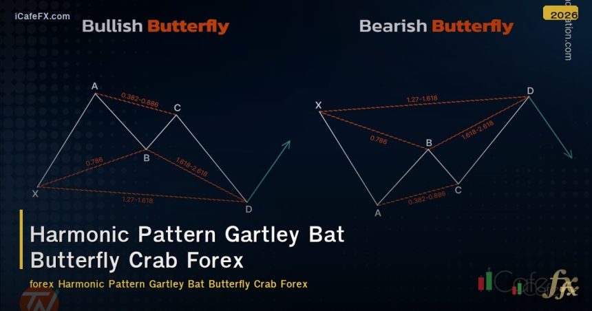 Harmonic Pattern Gartley Bat Butterfly Crab Forex