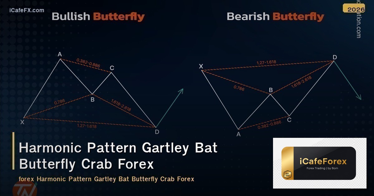 Harmonic Pattern Gartley Bat Butterfly Crab Forex