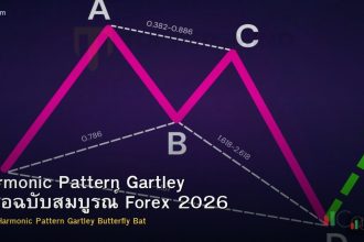Harmonic Pattern Gartley คู่มือฉบับสมบูรณ์ Forex 2026