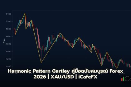 Harmonic Pattern Gartley คู่มือฉบับสมบูรณ์ Forex 2026