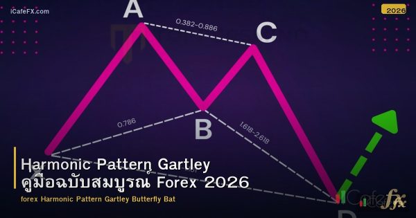 Harmonic Pattern Gartley คู่มือฉบับสมบูรณ์ Forex 2026