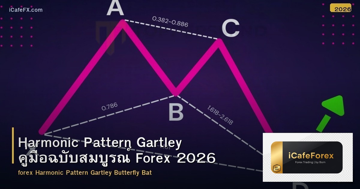 Harmonic Pattern Gartley คู่มือฉบับสมบูรณ์ Forex 2026