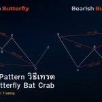 Harmonic Pattern วิธีเทรด Gartley Butterfly Bat Crab
