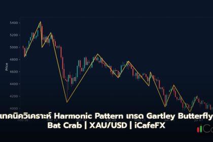 Harmonic Pattern วิธีเทรด Gartley Butterfly Bat Crab