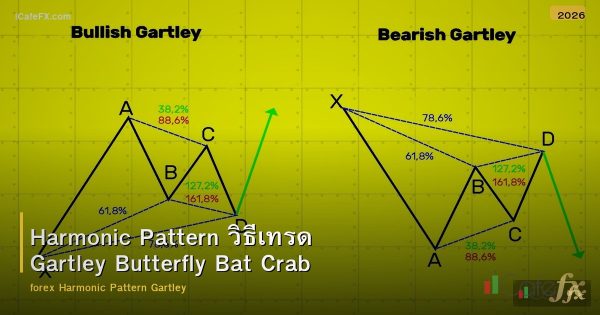 Harmonic Pattern วิธีเทรด Gartley Butterfly Bat Crab