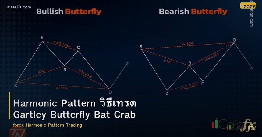 Harmonic Pattern วิธีเทรด Gartley Butterfly Bat Crab
