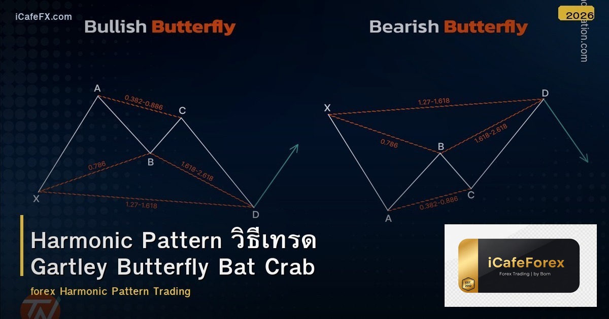 Harmonic Pattern วิธีเทรด Gartley Butterfly Bat Crab