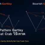 Harmonic Pattern Gartley Butterfly Bat Crab วิธีเทรด Forex