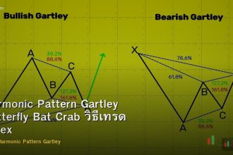 Harmonic Pattern Gartley Butterfly Bat Crab วิธีเทรด Forex