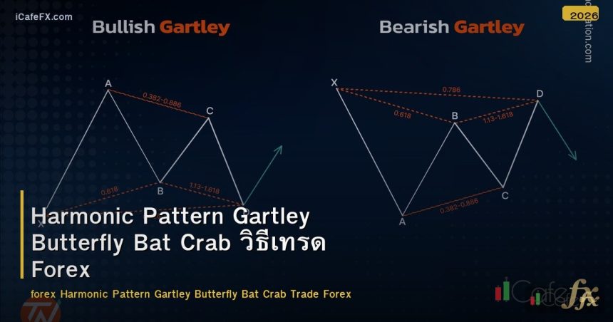 Harmonic Pattern Gartley Butterfly Bat Crab วิธีเทรด Forex