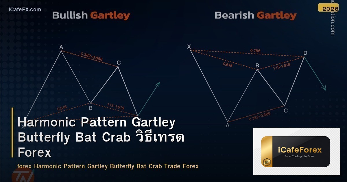 Harmonic Pattern Gartley Butterfly Bat Crab วิธีเทรด Forex