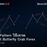 Harmonic Pattern วิธีเทรด Gartley Bat Butterfly Crab Forex