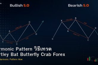 Harmonic Pattern วิธีเทรด Gartley Bat Butterfly Crab Forex