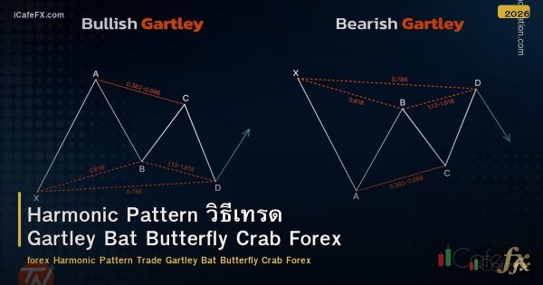 Harmonic Pattern วิธีเทรด Gartley Bat Butterfly Crab Forex
