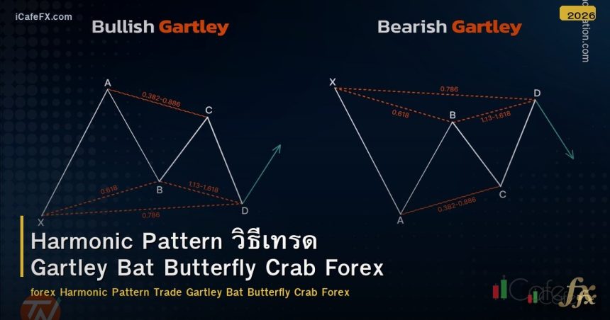 Harmonic Pattern วิธีเทรด Gartley Bat Butterfly Crab Forex