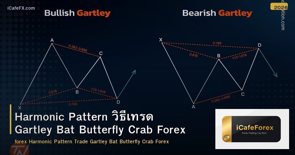Harmonic Pattern วิธีเทรด Gartley Bat Butterfly Crab Forex