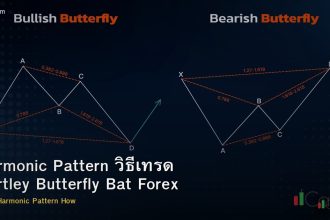 Harmonic Pattern วิธีเทรด Gartley Butterfly Bat Forex