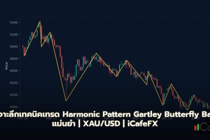 Harmonic Pattern วิธีเทรด Gartley Butterfly Bat Forex