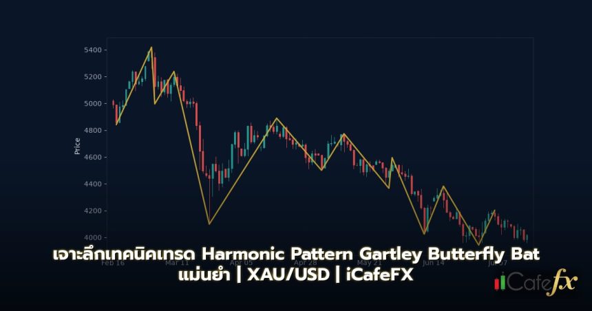 Harmonic Pattern วิธีเทรด Gartley Butterfly Bat Forex