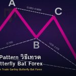 Harmonic Pattern วิธีเทรด Gartley Butterfly Bat Forex