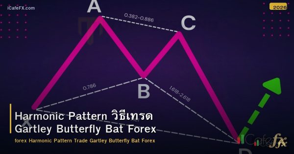 Harmonic Pattern วิธีเทรด Gartley Butterfly Bat Forex
