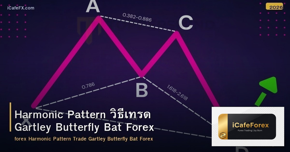 Harmonic Pattern วิธีเทรด Gartley Butterfly Bat Forex