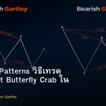 Harmonic Patterns วิธีเทรด Gartley Bat Butterfly Crab ใน Forex