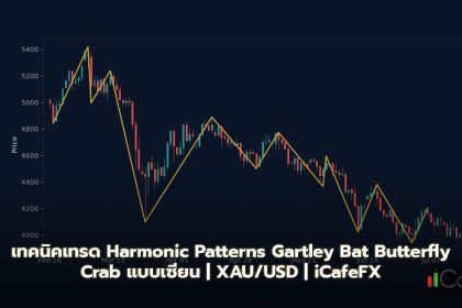 Harmonic Patterns วิธีเทรด Gartley Bat Butterfly Crab ใน Forex