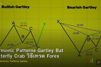 Harmonic Patterns Gartley Bat Butterfly Crab วิธีเทรด Forex