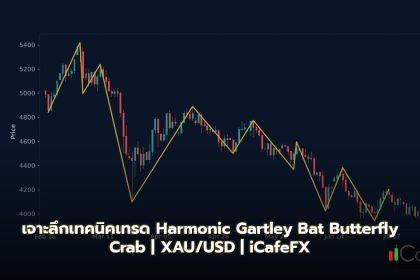 Harmonic Patterns Gartley Bat Butterfly Crab วิธีเทรด Forex
