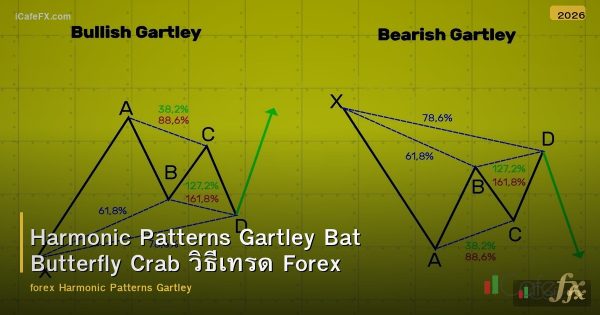 Harmonic Patterns Gartley Bat Butterfly Crab วิธีเทรด Forex