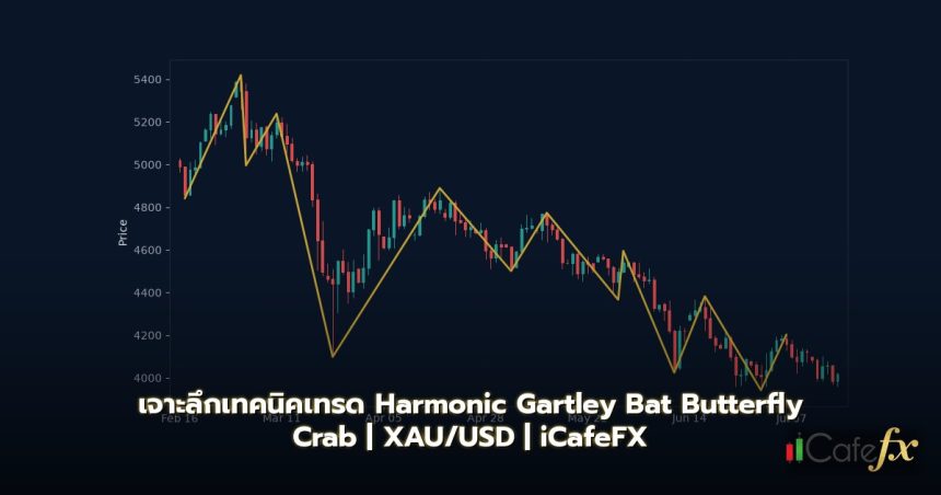 Harmonic Patterns Gartley Bat Butterfly Crab วิธีเทรด Forex