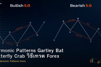 Harmonic Patterns Gartley Bat Butterfly Crab วิธีเทรด Forex