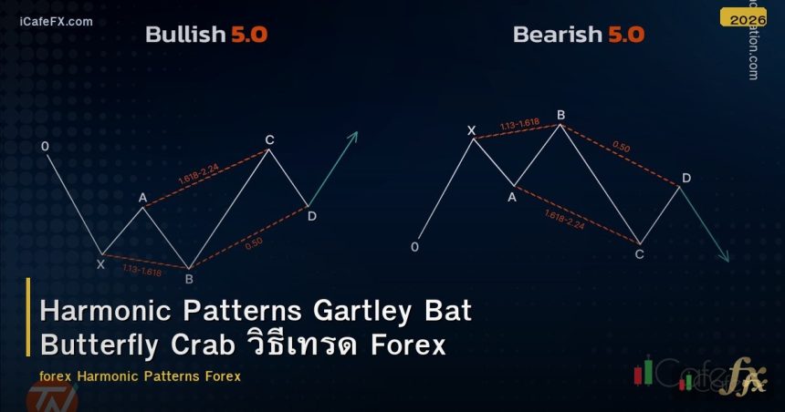 Harmonic Patterns Gartley Bat Butterfly Crab วิธีเทรด Forex