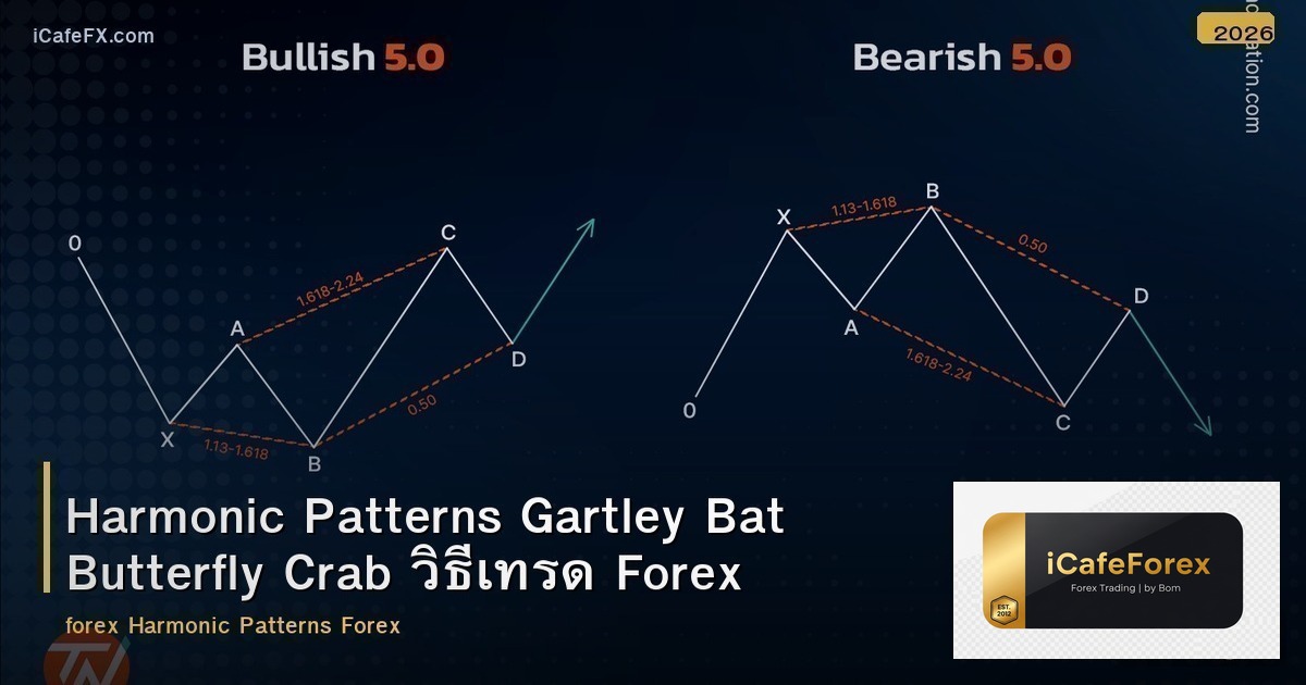 Harmonic Patterns Gartley Bat Butterfly Crab วิธีเทรด Forex