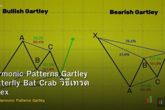Harmonic Patterns Gartley Butterfly Bat Crab วิธีเทรด Forex