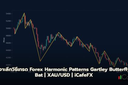 Harmonic Patterns Gartley Butterfly Bat Crab วิธีเทรด Forex