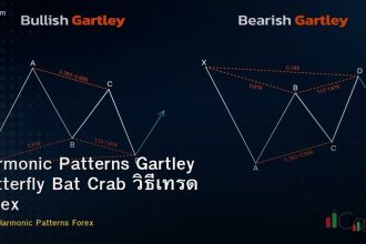 Harmonic Patterns Gartley Butterfly Bat Crab วิธีเทรด Forex