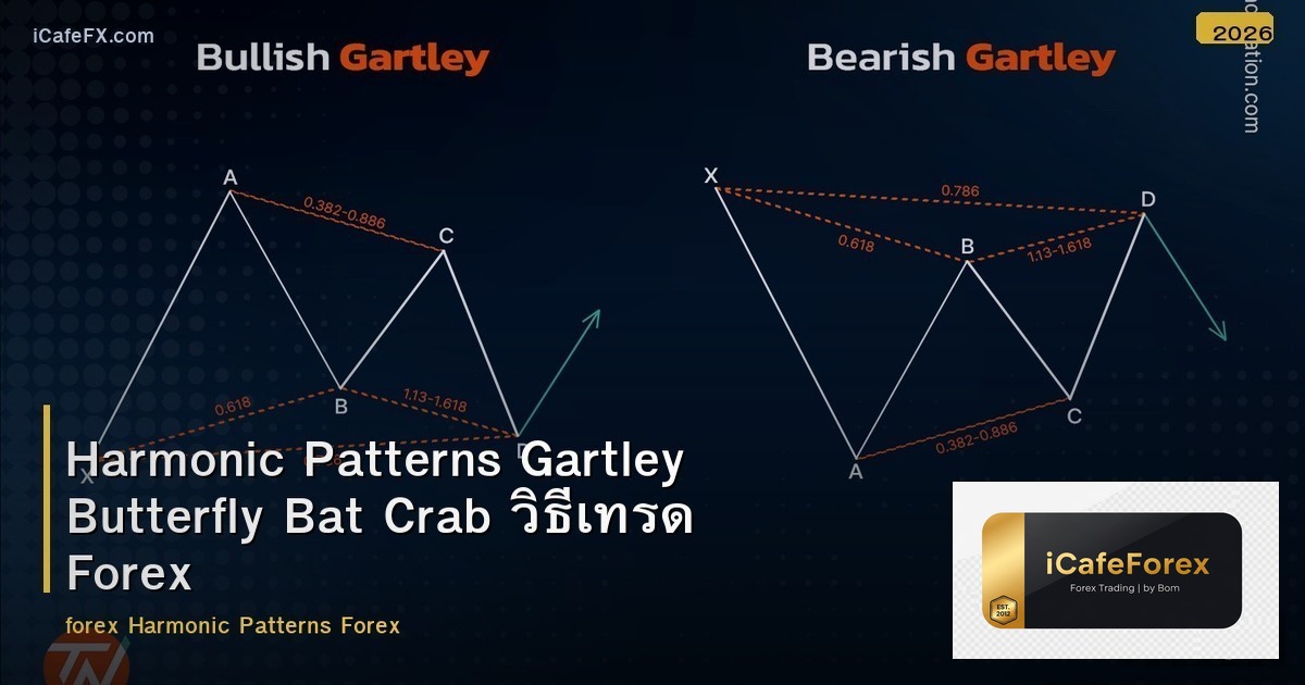 Harmonic Patterns Gartley Butterfly Bat Crab วิธีเทรด Forex