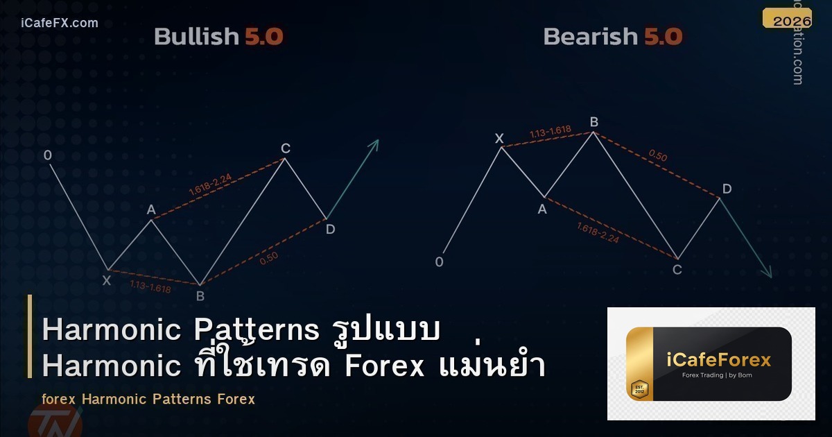 Harmonic Patterns รูปแบบ Harmonic ที่ใช้เทรด Forex แม่นยำ