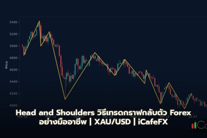 Head and Shoulders วิธีเทรดรูปแบบกราฟกลับตัว Forex