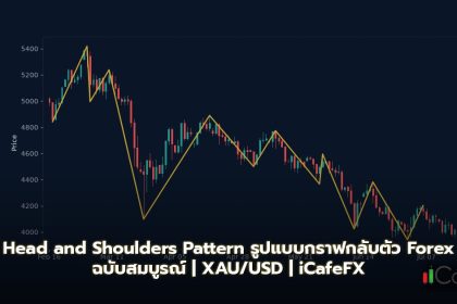 Head and Shoulders Pattern รูปแบบกราฟกลับตัว Forex ฉบับสมบูรณ์