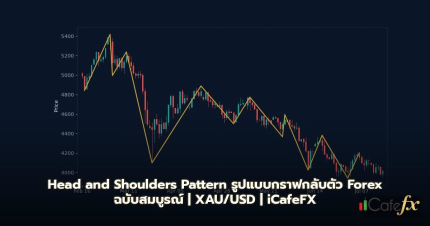 Head and Shoulders Pattern รูปแบบกราฟกลับตัว Forex ฉบับสมบูรณ์
