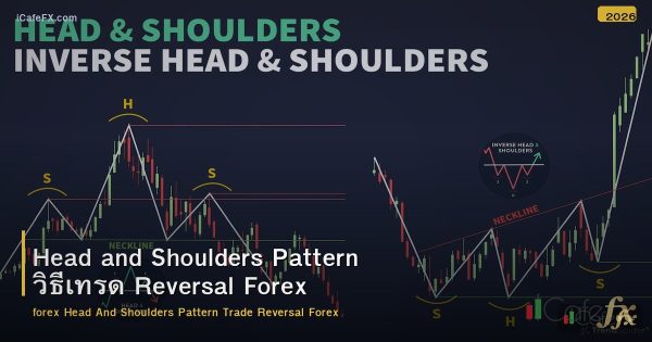Head and Shoulders Pattern วิธีเทรด Reversal Forex