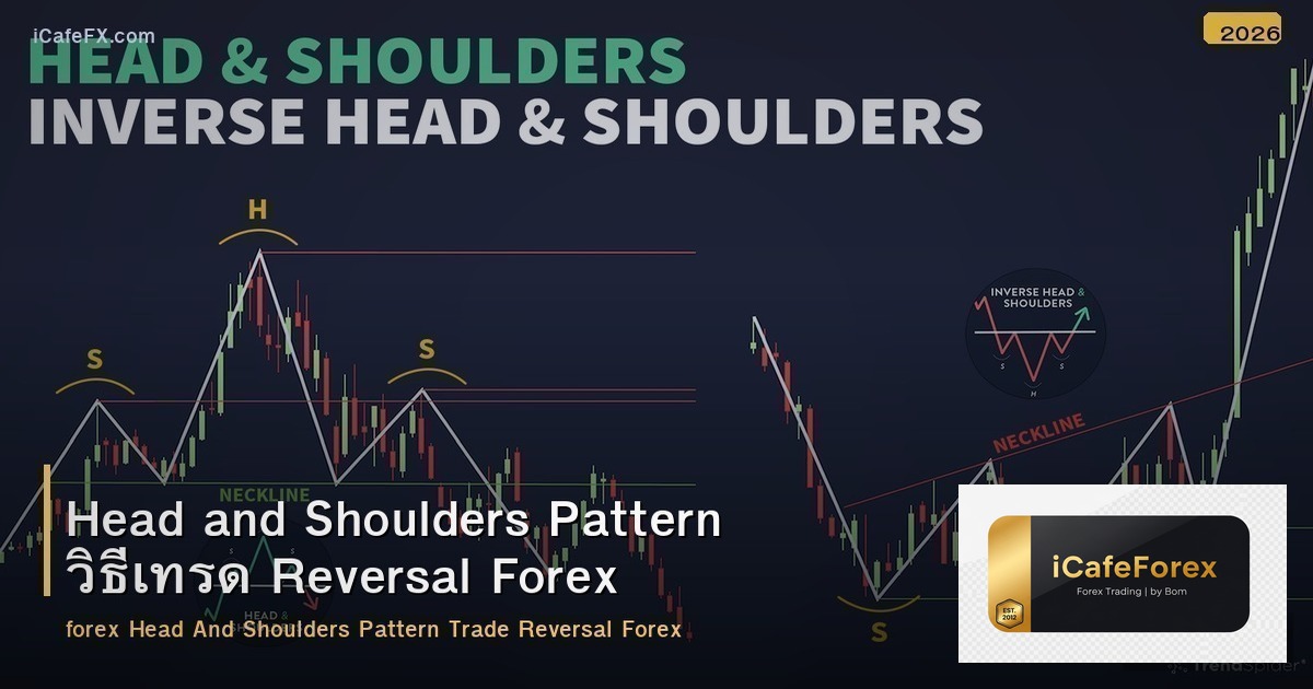 Head and Shoulders Pattern วิธีเทรด Reversal Forex