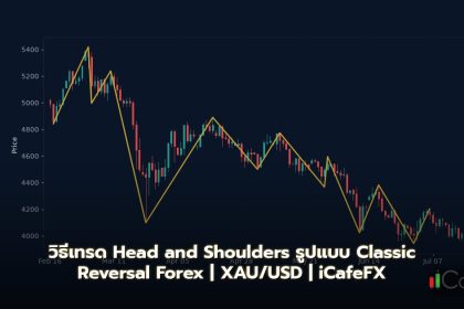 Head and Shoulders วิธีเทรด Classic Reversal Pattern Forex