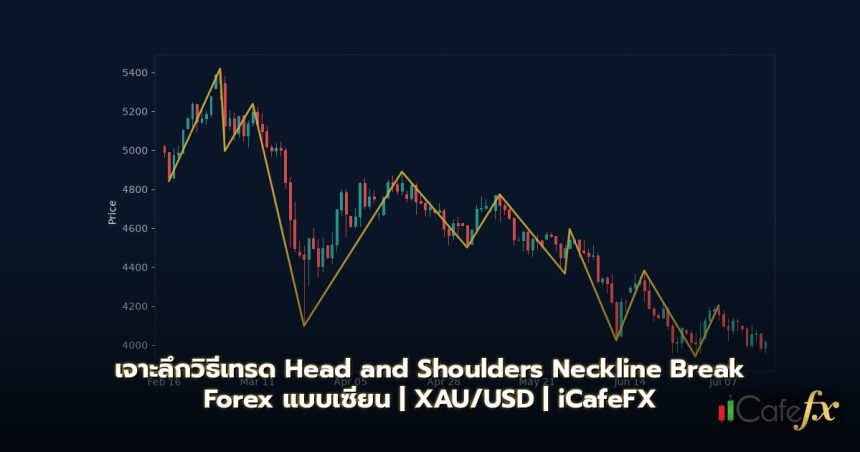 Head and Shoulders Pattern วิธีเทรด H&S Neckline Break Forex