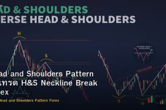 Head and Shoulders Pattern วิธีเทรด H&S Neckline Break Forex