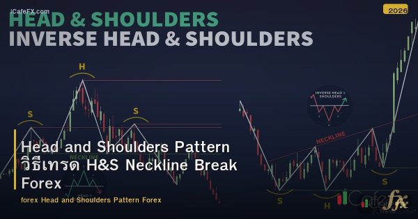 Head and Shoulders Pattern วิธีเทรด H&S Neckline Break Forex
