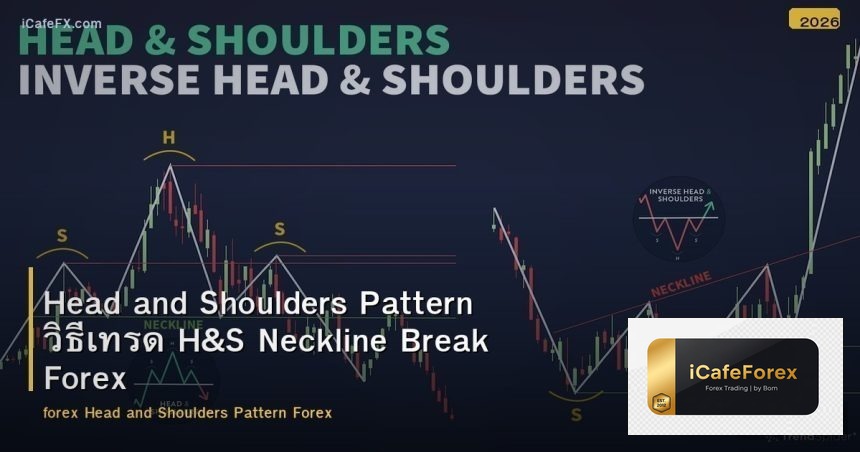 Head and Shoulders Pattern วิธีเทรด H&S Neckline Break Forex
